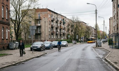 33-latek zatrzymany przez katowicką policję. Odpowie za kradzieże i stosowanie przemocy