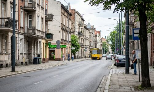 Działania policji w Katowicach. Funkcjonariusze poszukiwali osób ukrywających się przed wymiarem sprawiedliwości