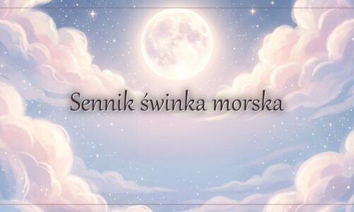 Sennik świnka morska